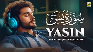 Surah Yasin Yaseen سورة يس  Relaxing calming Heart touching soft voice  Zikrullah TV [upl. by Gnanmos15]