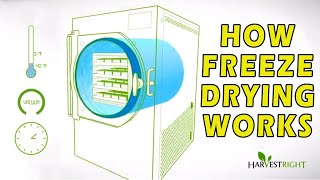 How Freeze Drying Works [upl. by Collin]