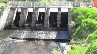 Pine River Spillway Waushara County Wisconsin [upl. by Ennyrb]