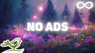 NO ADS Warm Embrace 8 Hours of Relaxing Sleep Music with Dreamy Photos [upl. by Seroled831]