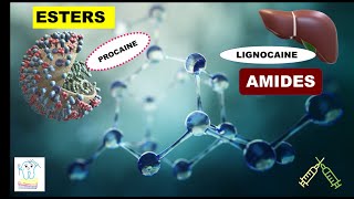 Esters amp Amides Local anesthetics [upl. by Auehsoj]