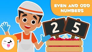 Even and Odd Numbers  Math for Kids [upl. by Mosenthal]