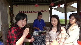 Picking tasting spring tea in Guangxi China [upl. by Ennirok]