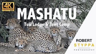 Discover Mashatu Game Reserve Tuli Lodge Tented Camp amp Lala Limpopo Hide in Botswana [upl. by Neeruan]