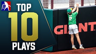 TOP 10 WIFFLE BALL PLAYS  MLW Wiffle Ball 2023 [upl. by Germaine]