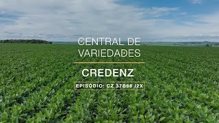 Central de Variedades Credenz®  CZ 37B66 I2X [upl. by Gabriele595]