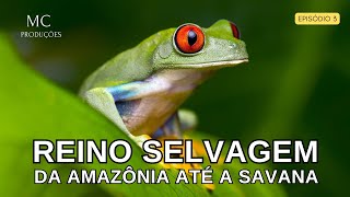 Reino Selvagem – Da Amazônia até a savana africana [upl. by Niwle724]