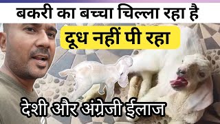 Bakri Ka Baccha Chilla Raha Hai Kya KarenVimalumrao [upl. by Ailemor]