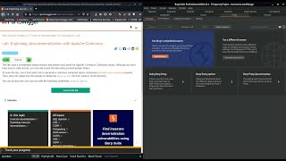Exploiting Java deserialization with Apache CommonsWeb Security AcademyPortSwigger [upl. by Carberry]