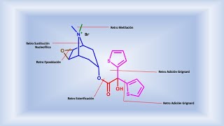 Tiotropio bromuro broncodilatador análisis retrosintético I [upl. by Hamforrd]
