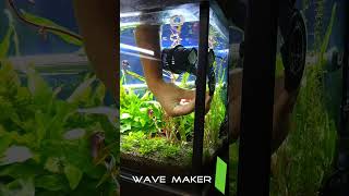 Aquarium Wave Maker Setup [upl. by Jen]