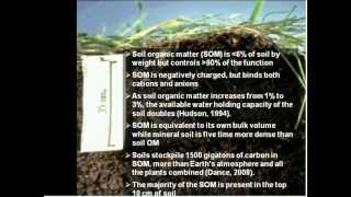 Role of Soil Biology in Improving Soil Quality [upl. by Notsuoh]