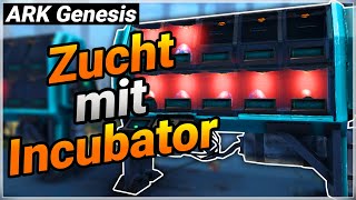 So funktioniert die NEUE ZUCHT mit EGG INCUBATOR amp MEAWING ARK  ARK Genesis Part 2 [upl. by Kenweigh386]