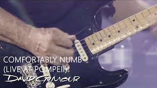 David Gilmour  Comfortably Numb Live At Pompeii [upl. by Atrebor240]