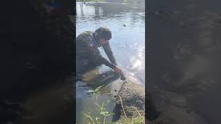 AFTER TYPHOON KONG REY THE FISH TRAPPED fishing amazing [upl. by Enyamrahc685]