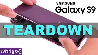 Samsung Galaxy S9 Teardown  Galaxy S9 Repair Guide  Disassemble [upl. by Guinn]