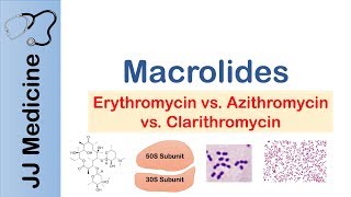 Macrolides Azithromycin Erythromycin  Bacterial Targets Mechanism of Action Adverse Effects [upl. by Rovaert]