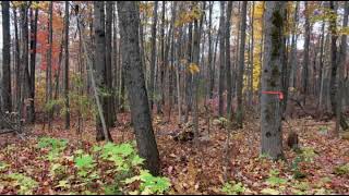 2035 Whitetail Ct Harrison MI 48625  Land for Sale [upl. by Zoi526]