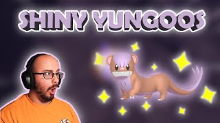 RANDOM SHINY YUNGOOS Pokémon Scarlet and Violet shiny Hunting [upl. by Devad931]