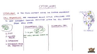 Cytoplasm [upl. by Giff]