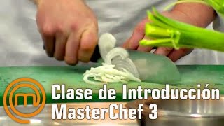 Clase de Introducción Básica  MasterChef 3 [upl. by Courtland]