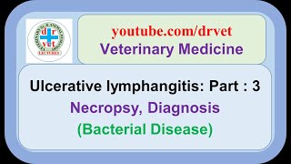 Ulcerative lymphangitis Part 3 necropsy findings diagnosis [upl. by Ardrey]