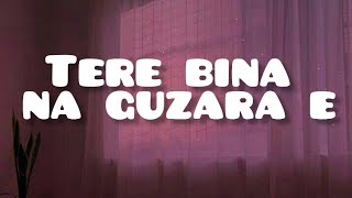 TERE BINA NA GUZARA Elyrics  JOSH BRAR song music lyrics [upl. by Lorak]