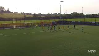 THE GOALS  Harborough Town 21 Biggleswade FC  71023 [upl. by Stochmal317]