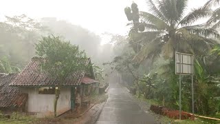 Walk in Heavy Rain and Thunderstorms in Rural Indonesia  ASMR Nature Sounds for Sleep [upl. by Amador]