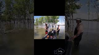 Spearfishing striper [upl. by Steinway]