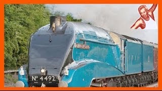 Steam Trains At High Speed Compilation 150 kph  90 mph On UK Main Line Bittern 60019 [upl. by Enyawd]