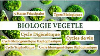 BIOLOGIE VÉGÉTALE  CYCLE HAPLODIPLOPHASIQUE  CYCLE MONOGÉNIQUECYCLE DIGENETIQUE [upl. by Bainbrudge]