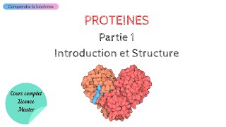 PROTÉINES  INTRODUCTION ET STRUCTURE  Biochimie Facile [upl. by Kurzawa]