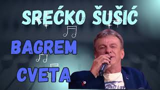 Srecko Susic  Bagrem Cveta [upl. by Wilhelm476]