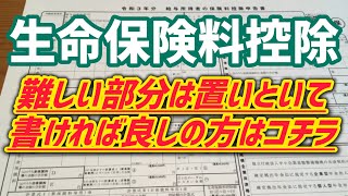 【生命保険料控除の書き方】令和６年サクッと終わらせたい人用です♬ [upl. by Hailat]