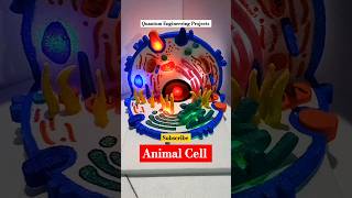 Animal Cell 3D working Model animalcell biologymodel biology shorts [upl. by Eleanore157]