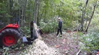 wwwFarmerEquipmentSalescom PTO Wood Chipper devours maple tree [upl. by Tilford]