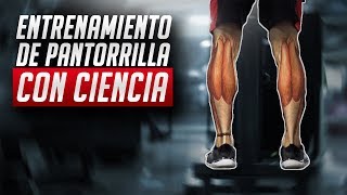 El mejor entrenamiento de pantorrilla  CIENTÍFICAMENTE COMPROBADO [upl. by Haroldson267]