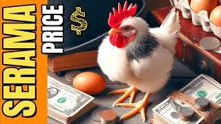 HOW MUCH is a TINY SERAMA CHICKEN Price Revealed [upl. by Soraya]