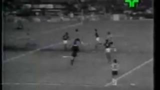 Botafogo 2 x 2 Flamengo Carioca 1975 [upl. by Sandro369]