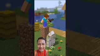 steve hited iron golem from above minecraft minecraftgameplay shorts games [upl. by Norry]