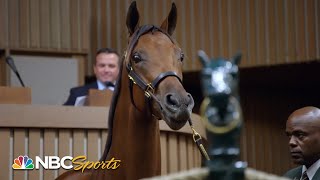 Champions born bred and bid on in Kentucky  All In Road to the Breeders Cup Classic  NBC Sports [upl. by Bee]