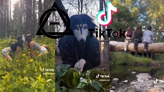 Therian and Quadrobics TikToks  Compilation 🐾🪱🪲 Alterhumans of TikTok 86 [upl. by Tatum]