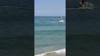 Shark tagging on Nauset Beach August 5 2024 [upl. by Ijok]