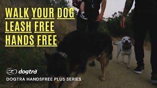 TRAIN YOUR DOG HANDSFREE  DOGTRA HANDSFREE ECOLLARS [upl. by Kcirdderf785]