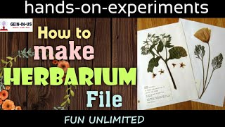 How to make herbarium file  Very interesting science experiments to do at home  fun unlimited [upl. by Christoph]