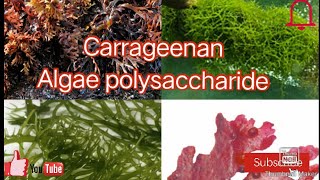 Carageenan Algae polysaccharide M SC botany [upl. by Darej630]