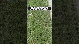 Toro Procore 648 Holes [upl. by Ellehcear]