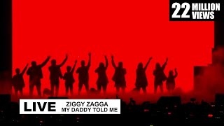 Ziggy Zagga My Daddy Told Me Live Performance [upl. by Ecnadnak]