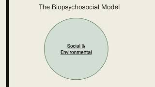 The Biopsychosocial Model [upl. by Uwkuhceki]